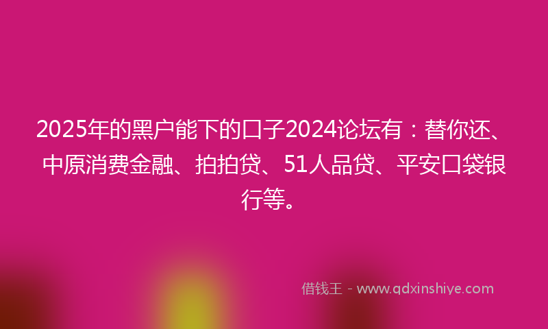 2025年的黑户能下的口子2024论坛有：替你还、中原消费金融、拍拍贷、51人品贷、平安口袋银行等。