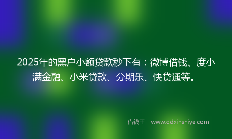 2025年的黑户小额贷款秒下有：微博借钱、度小满金融、小米贷款、分期乐、快贷通等。