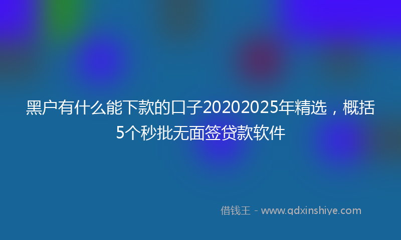 黑户有什么能下款的口子20202025年精选，概括5个秒批无面签贷款软件