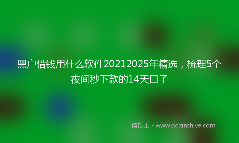 黑户借钱用什么软件20212025年精选，梳理5个夜间秒下款的14天口子