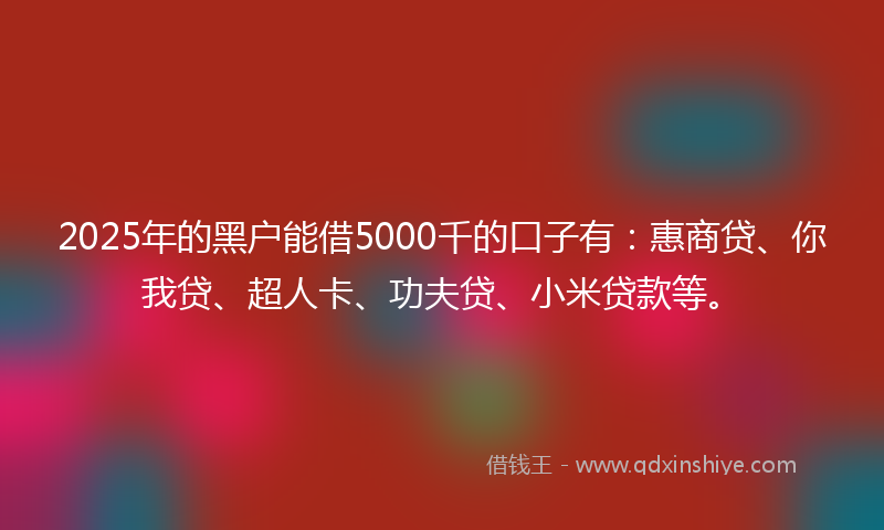 2025年的黑户能借5000千的口子有：惠商贷、你我贷、超人卡、功夫贷、小米贷款等。