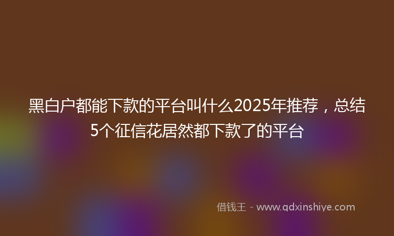 黑白户都能下款的平台叫什么2025年推荐，总结5个征信花居然都下款了的平台