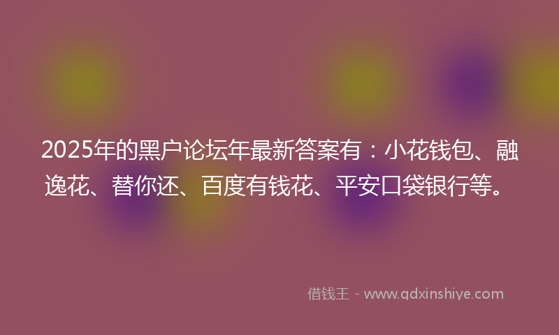 2025年的黑户论坛年最新答案有：小花钱包、融逸花、替你还、百度有钱花、平安口袋银行等。