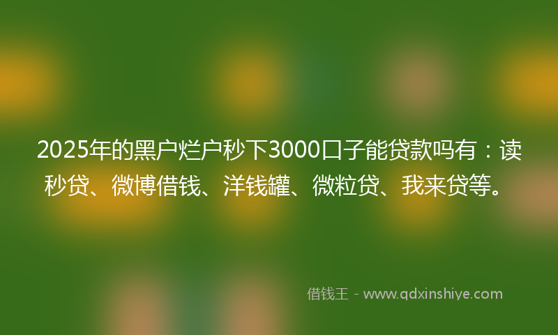 2025年的黑户烂户秒下3000口子能贷款吗有：读秒贷、微博借钱、洋钱罐、微粒贷、我来贷等。