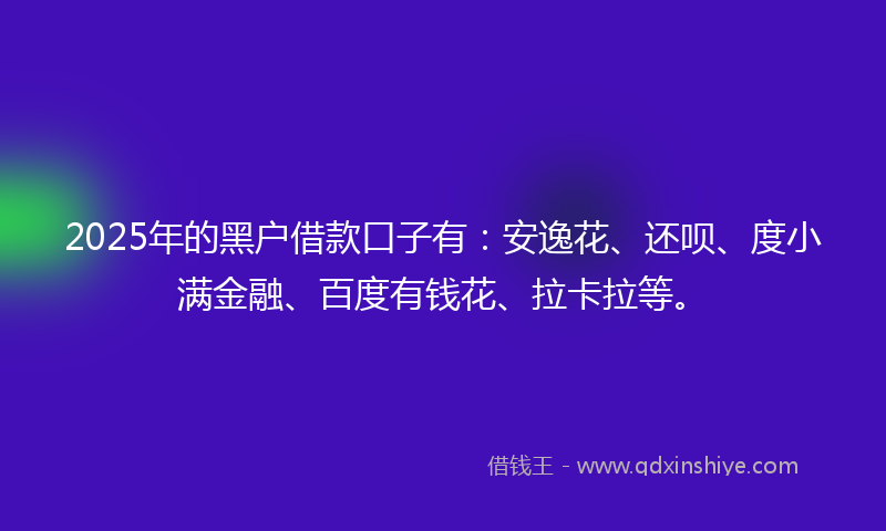 2025年的黑户借款口子有：安逸花、还呗、度小满金融、百度有钱花、拉卡拉等。