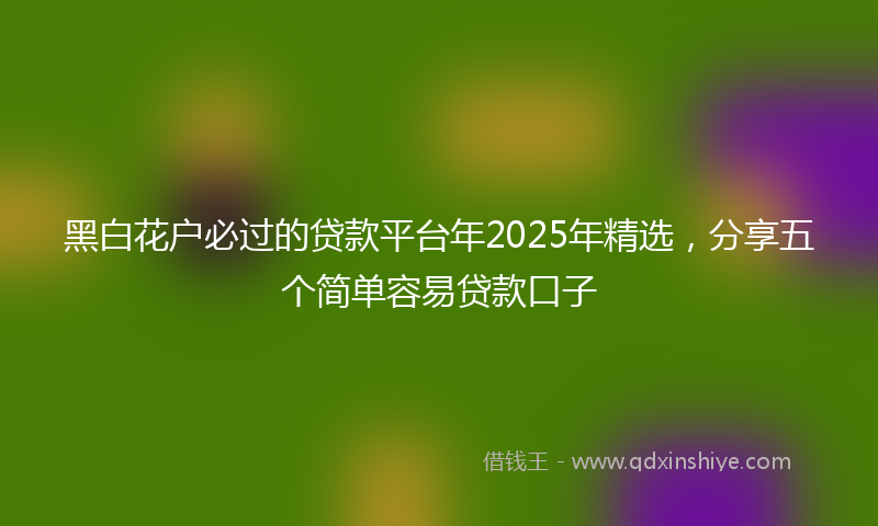 黑白花户必过的贷款平台年2025年精选，分享五个简单容易贷款口子