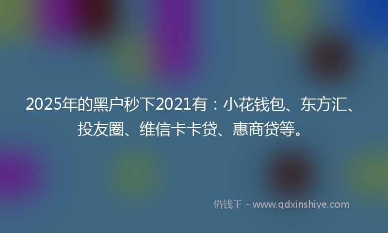2025年的黑户秒下2021有：小花钱包、东方汇、投友圈、维信卡卡贷、惠商贷等。