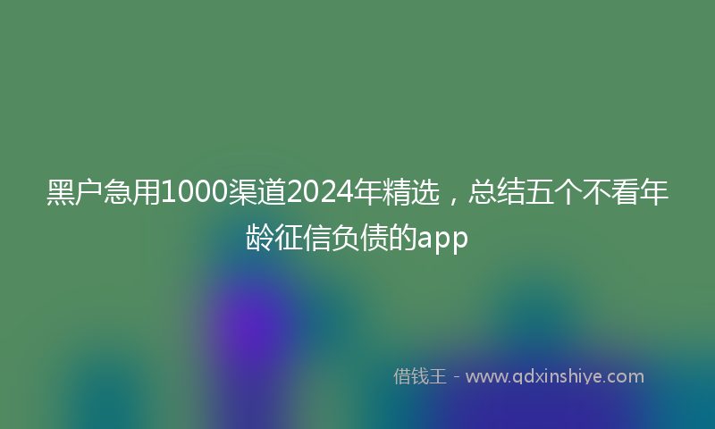 黑户急用1000渠道2024年精选，总结五个不看年龄征信负债的app