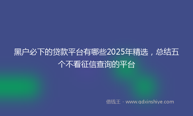 黑户必下的贷款平台有哪些2025年精选，总结五个不看征信查询的平台