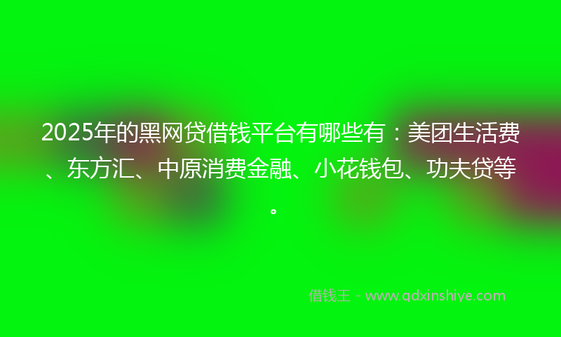 2025年的黑网贷借钱平台有哪些有：美团生活费、东方汇、中原消费金融、小花钱包、功夫贷等。