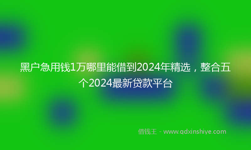 黑户急用钱1万哪里能借到2024年精选，整合五个2024最新贷款平台