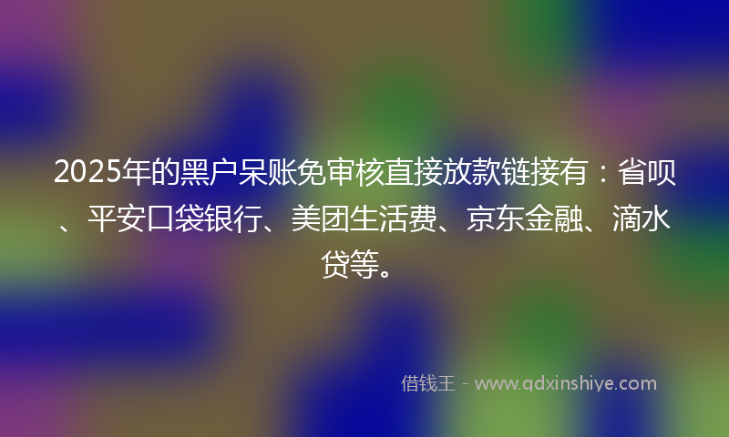 2025年的黑户呆账免审核直接放款链接有：省呗、平安口袋银行、美团生活费、京东金融、滴水贷等。