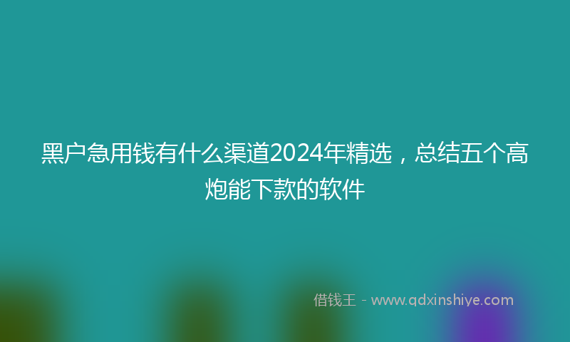 黑户急用钱有什么渠道2024年精选,总结五个高炮能下款的软件