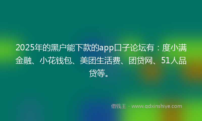 2025年的黑户能下款的app口子论坛有：度小满金融、小花钱包、美团生活费、团贷网、51人品贷等。