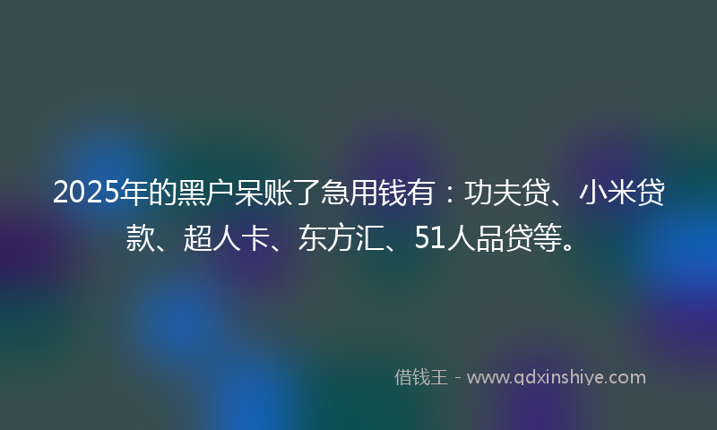 2025年的黑户呆账了急用钱有：功夫贷、小米贷款、超人卡、东方汇、51人品贷等。