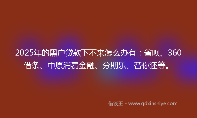 2025年的黑户贷款下不来怎么办有：省呗、360借条、中原消费金融、分期乐、替你还等。