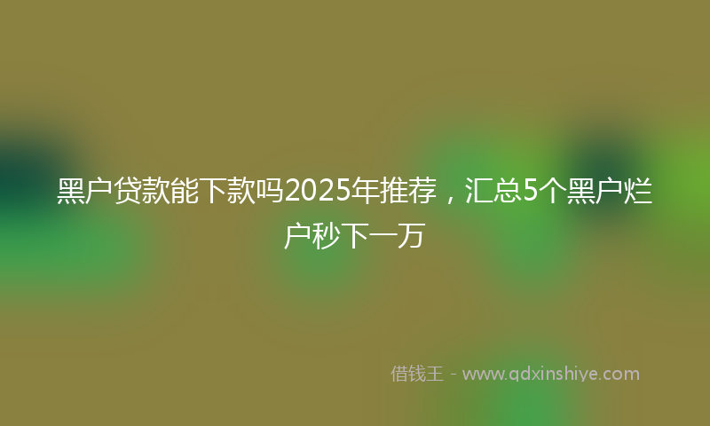 黑户贷款能下款吗2025年推荐，汇总5个黑户烂户秒下一万
