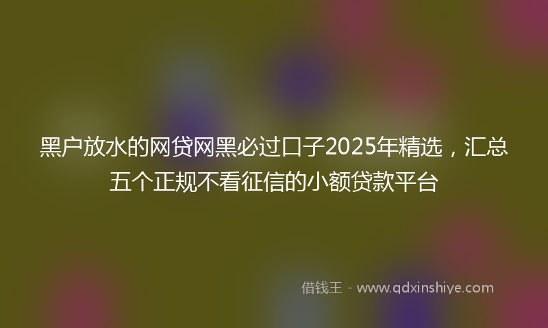 黑户放水的网贷网黑必过口子2025年精选，汇总五个正规不看征信的小额贷款平台