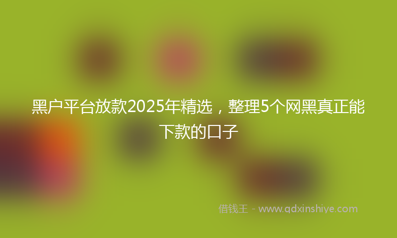 黑户平台放款2025年精选，整理5个网黑真正能下款的口子
