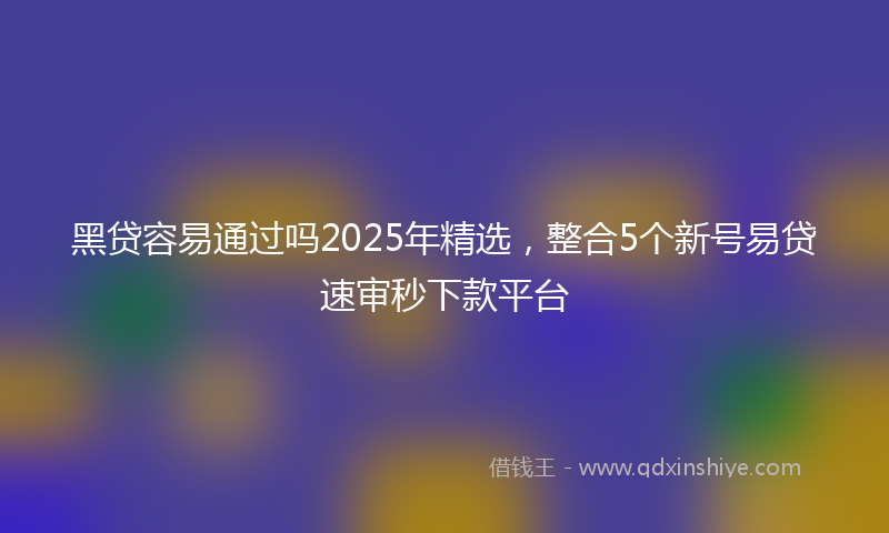 黑贷容易通过吗2025年精选，整合5个新号易贷速审秒下款平台