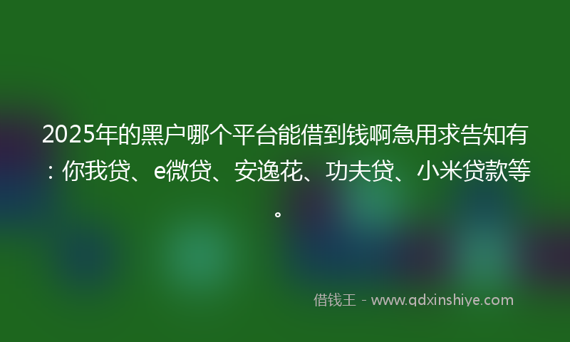 2025年的黑户哪个平台能借到钱啊急用求告知有：你我贷、e微贷、安逸花、功夫贷、小米贷款等。