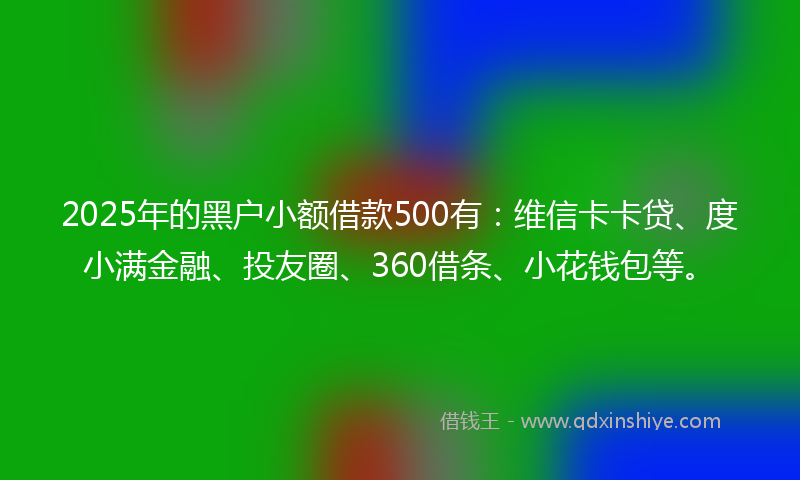 2025年的黑户小额借款500有：维信卡卡贷、度小满金融、投友圈、360借条、小花钱包等。