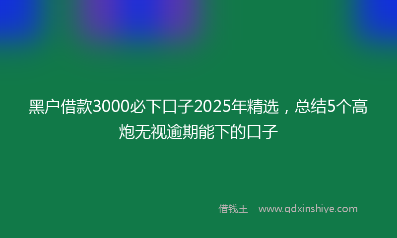 黑户借款3000必下口子2025年精选，总结5个高炮无视逾期能下的口子