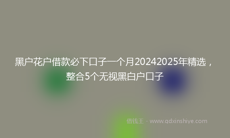 黑户花户借款必下口子一个月20242025年精选，整合5个无视黑白户口子