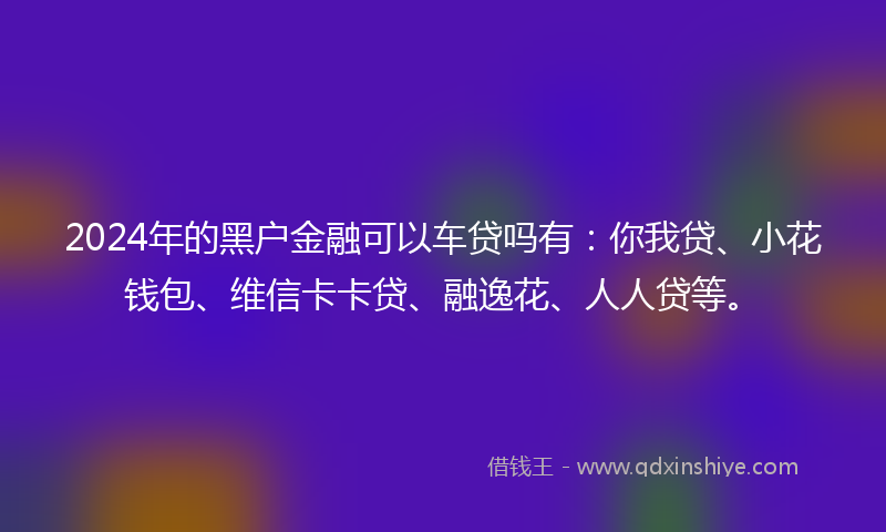 2024年的黑户金融可以车贷吗有：你我贷、小花钱包、维信卡卡贷、融逸花、人人贷等。