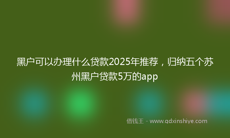 黑户可以办理什么贷款2025年推荐，归纳五个苏州黑户贷款5万的app