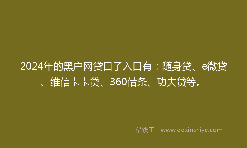 2024年的黑户网贷口子入口有：随身贷、e微贷、维信卡卡贷、360借条、功夫贷等。