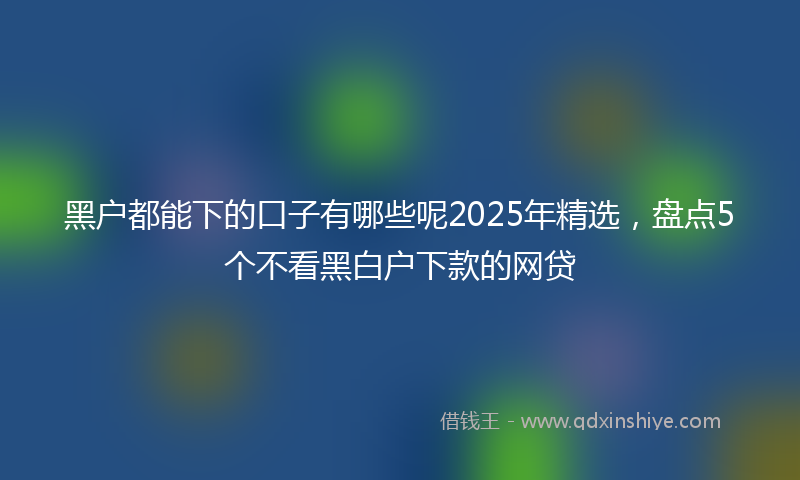 黑户都能下的口子有哪些呢2025年精选，盘点5个不看黑白户下款的网贷