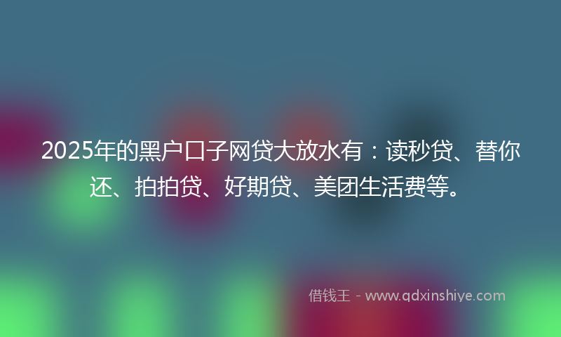 2025年的黑户口子网贷大放水有：读秒贷、替你还、拍拍贷、好期贷、美团生活费等。
