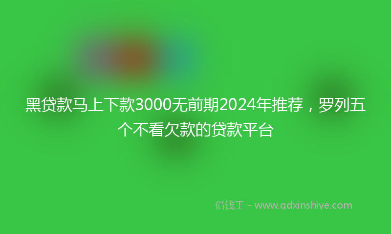 黑贷款马上下款3000无前期2024年推荐，罗列五个不看欠款的贷款平台