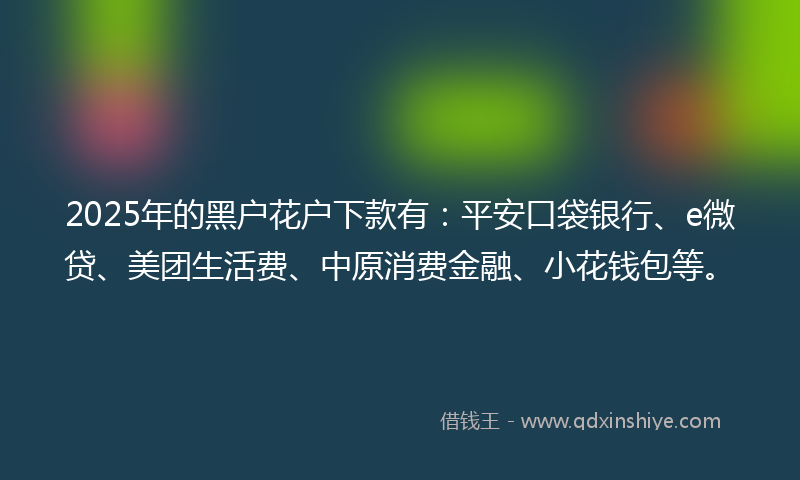 2025年的黑户花户下款有：平安口袋银行、e微贷、美团生活费、中原消费金融、小花钱包等。