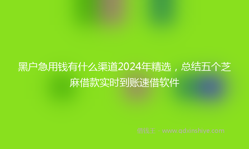 黑户急用钱有什么渠道2024年精选，总结五个芝麻借款实时到账速借软件