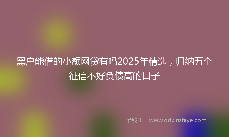 黑户能借的小额网贷有吗2025年精选，归纳五个征信不好负债高的口子