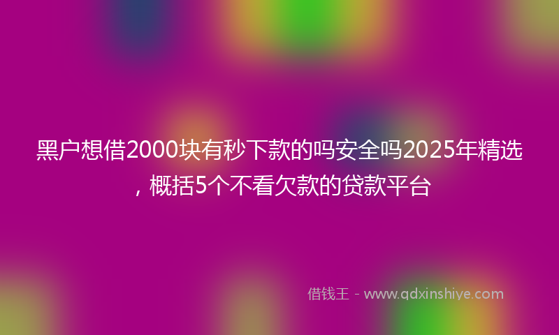 黑户想借2000块有秒下款的吗安全吗2025年精选，概括5个不看欠款的贷款平台