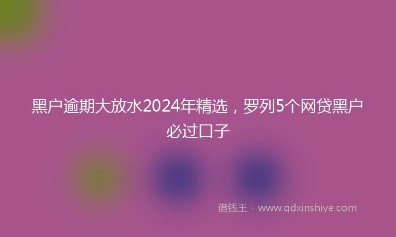 黑户逾期大放水2024年精选，罗列5个网贷黑户必过口子