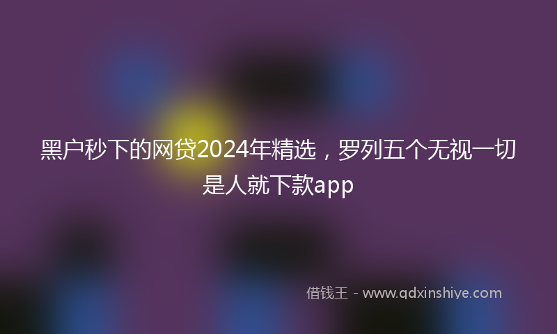 黑户秒下的网贷2024年精选，罗列五个无视一切是人就下款app