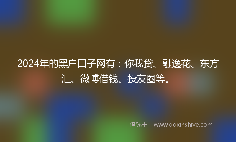 2024年的黑户口子网有：你我贷、融逸花、东方汇、微博借钱、投友圈等。