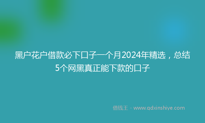 黑户花户借款必下口子一个月2024年精选，总结5个网黑真正能下款的口子