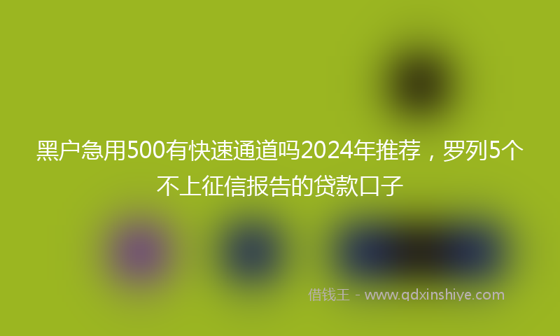 黑户急用500有快速通道吗2024年推荐，罗列5个不上征信报告的贷款口子