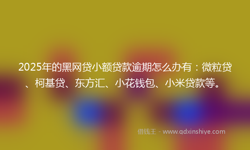 2025年的黑网贷小额贷款逾期怎么办有：微粒贷、柯基贷、东方汇、小花钱包、小米贷款等。