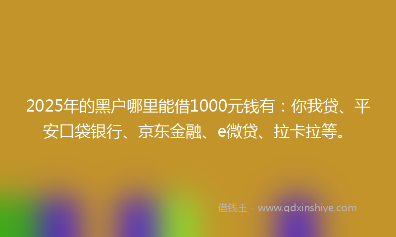 2025年的黑户哪里能借1000元钱有：你我贷、平安口袋银行、京东金融、e微贷、拉卡拉等。