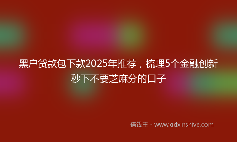 黑户贷款包下款2025年推荐，梳理5个金融创新秒下不要芝麻分的口子
