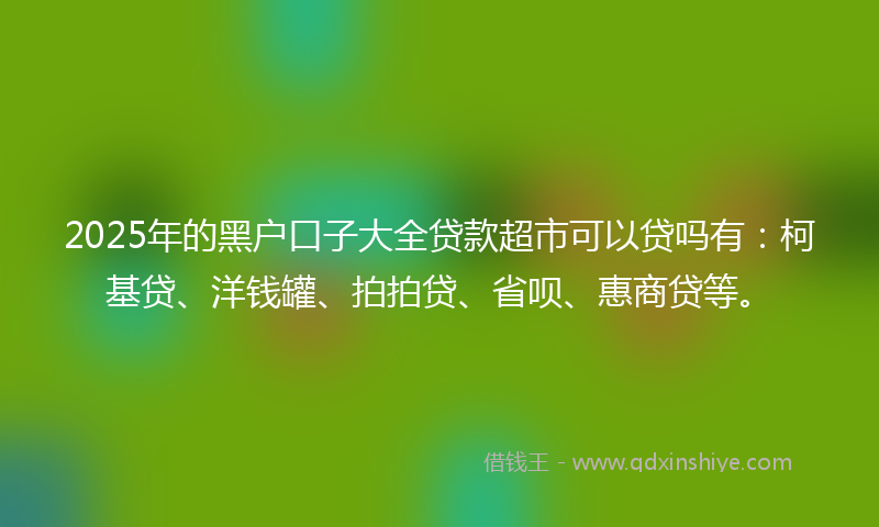 2025年的黑户口子大全贷款超市可以贷吗有：柯基贷、洋钱罐、拍拍贷、省呗、惠商贷等。