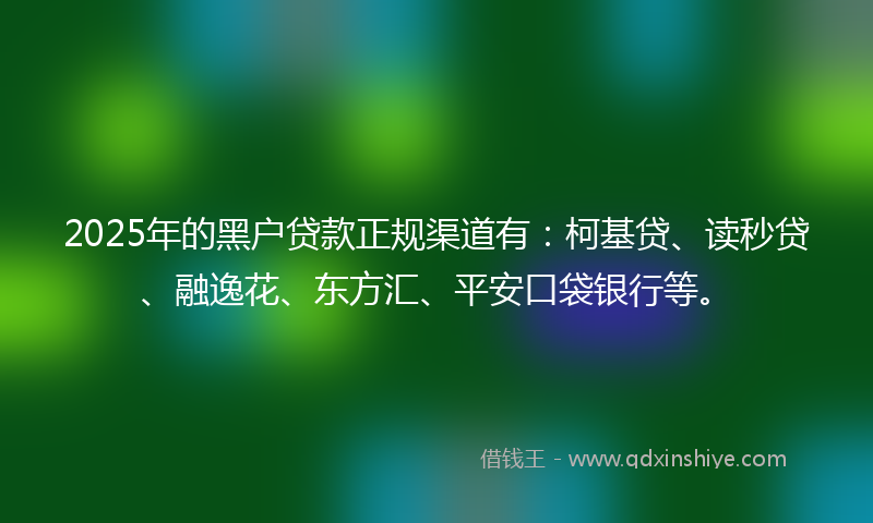 2025年的黑户贷款正规渠道有：柯基贷、读秒贷、融逸花、东方汇、平安口袋银行等。