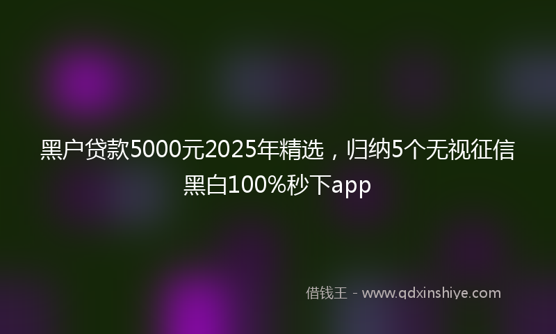 黑户贷款5000元2025年精选，归纳5个无视征信黑白100%秒下app