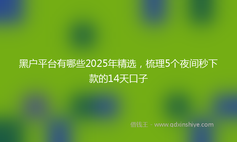 黑户平台有哪些2025年精选，梳理5个夜间秒下款的14天口子